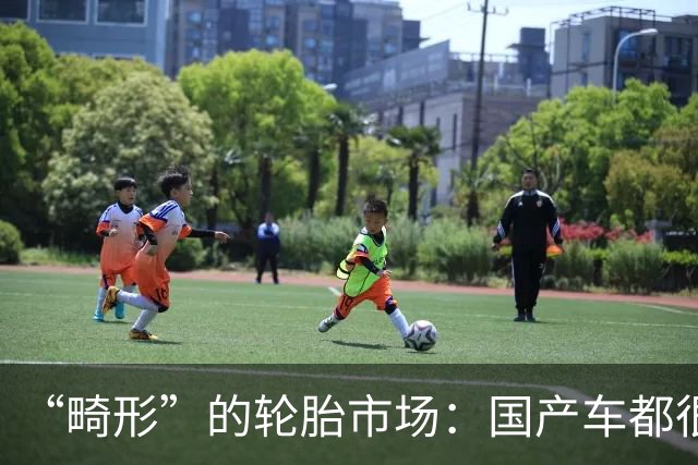 “畸形”的轮胎市场：国产车都很强了，国产轮胎却在“拖后腿”？