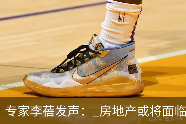 专家李蓓发声： 房地产或将面临二十年一遇的机会？房价要涨了？