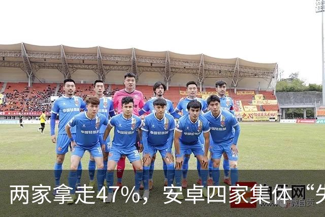 两家拿走47%，安卓四家集体“失血”：手机市场变成两个人的游戏