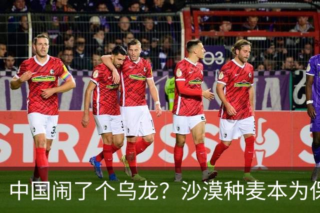 中国闹了个乌龙？沙漠种麦本为保粮仓，谁料金黄麦浪竟成治沙神器