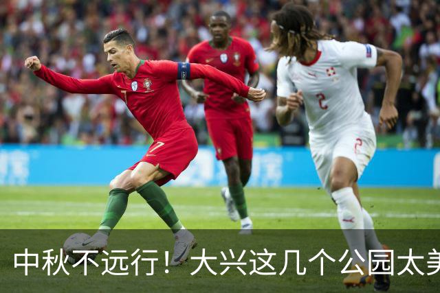 中秋不远行！大兴这几个公园太美啦！
