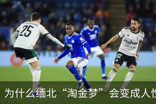 为什么缅北“淘金梦”会变成人性灾难？