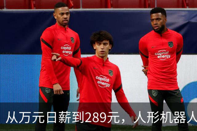 从万元日薪到289元，人形机器人租赁价格大跳水