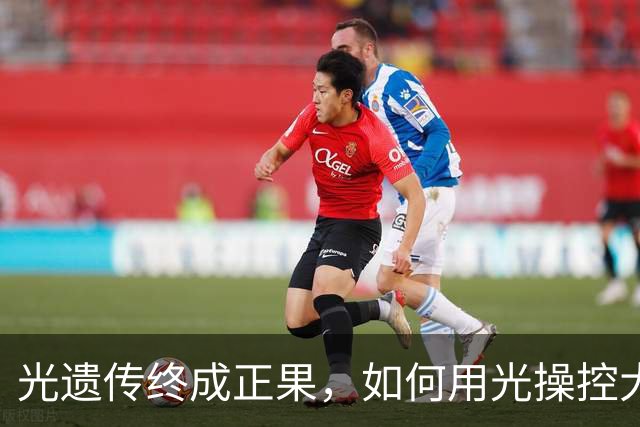 光遗传终成正果，如何用光操控大脑？