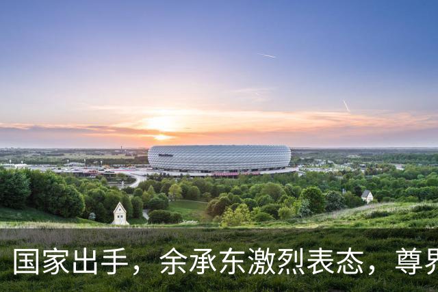 国家出手，余承东激烈表态，尊界这次真被"冤惨"了？
