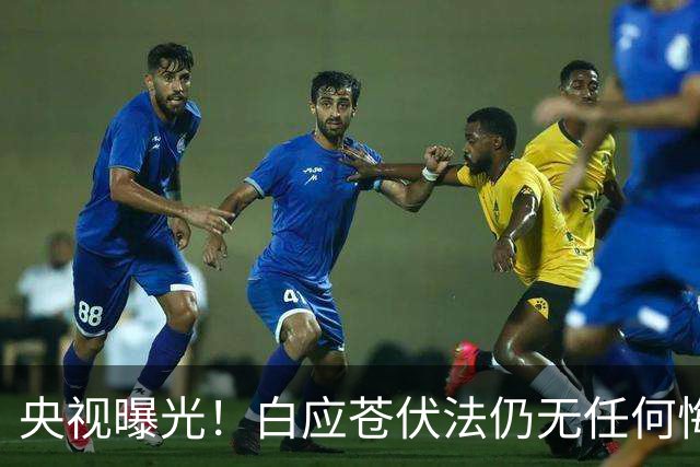 央视曝光！白应苍伏法仍无任何悔意，蛇蝎美人白应兰还能藏多久？