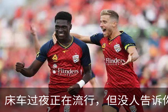 床车过夜正在流行，但没人告诉你：最难熬的不是电，是这四道坎
