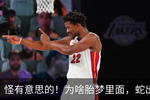 怪有意思的！为啥胎梦里面，蛇出场的频率这么高？网友:涨见识了
