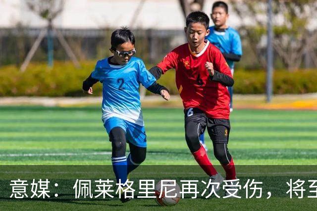 意媒：佩莱格里尼再次受伤，将至少休战1个月