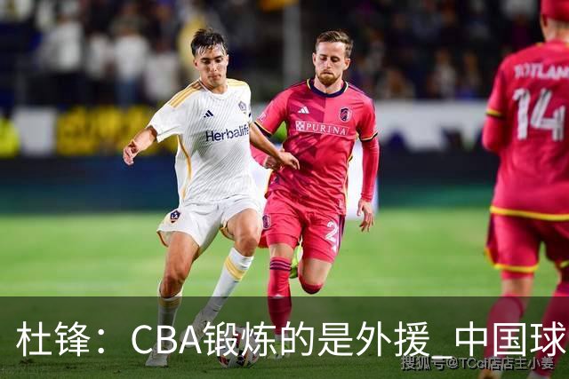 杜锋：CBA锻炼的是外援 中国球员支配球的次数太少