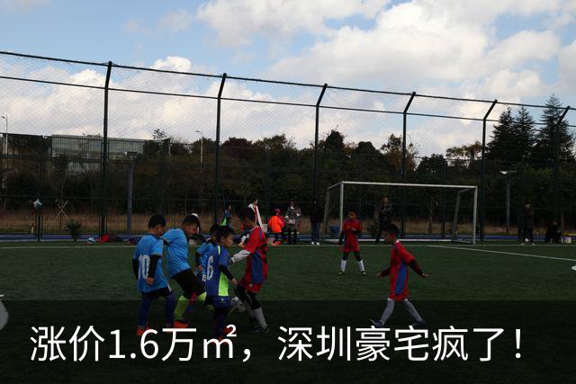 涨价1.6万/㎡，深圳豪宅疯了！