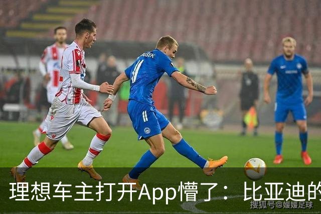 理想车主打开App懵了：比亚迪的桩，怎么成了我的“长途靠山”？