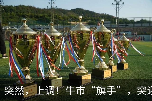 突然，上调！牛市“旗手”，突迎利好！