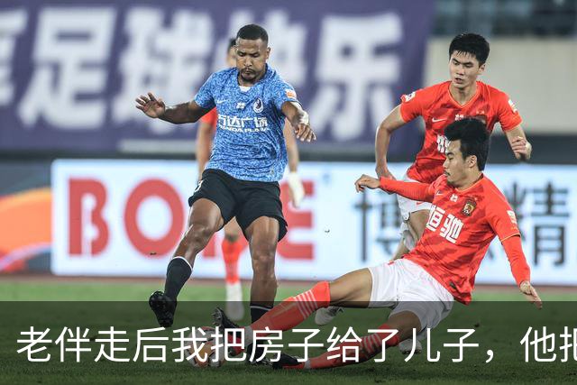 老伴走后我把房子给了儿子，他把我送进养老院，外甥女来接我我没走