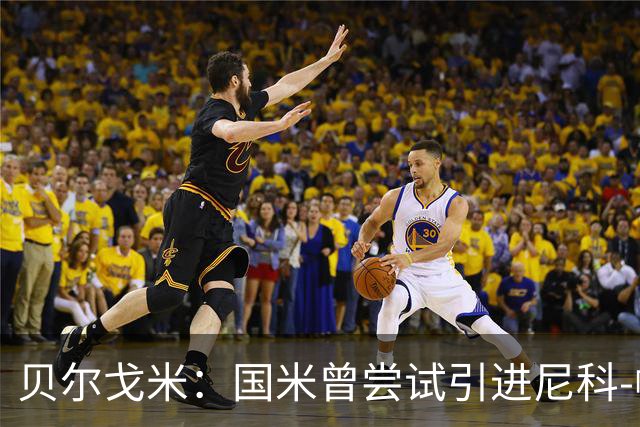 贝尔戈米：国米曾尝试引进尼科-帕斯