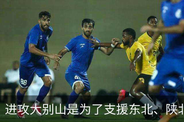 进攻大别山是为了支援东北、陕北、山东，真的是这样吗？