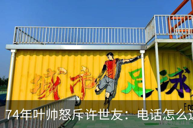 74年叶帅怒斥许世友：电话怎么这么晚才接？许世友：首长，我连滚带爬赶来接的！